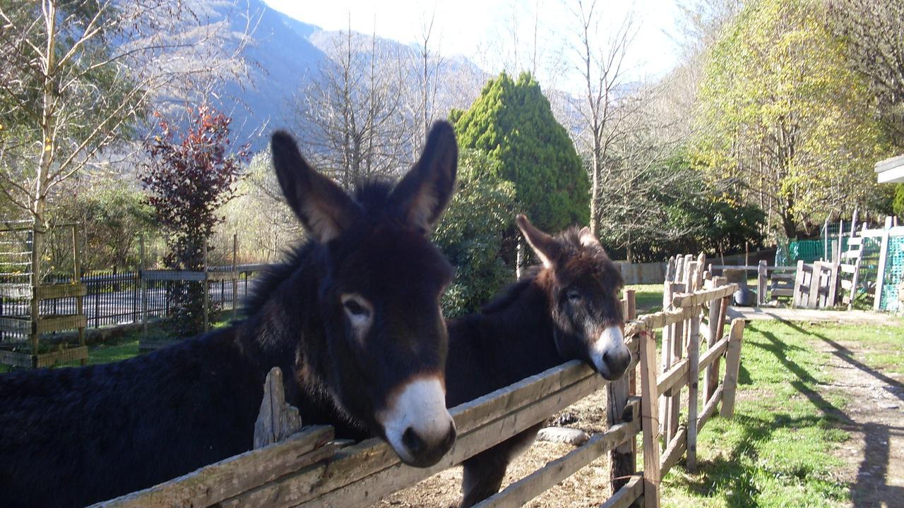 B&B Valle Orco Sparone Extérieur photo